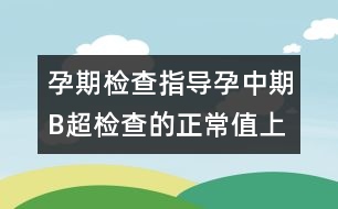 孕期檢查指導：孕中期B超檢查的正常值（上）