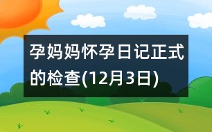 孕媽媽懷孕日記：正式的檢查(12月3日)