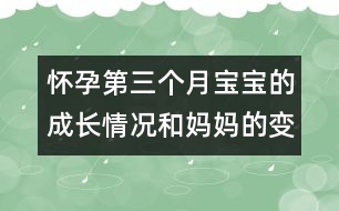 懷孕第三個(gè)月寶寶的成長(zhǎng)情況和媽媽的變化參數(shù)