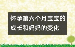 懷孕第六個(gè)月寶寶的成長(zhǎng)和媽媽的變化