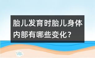 胎兒發(fā)育時：胎兒身體內(nèi)部有哪些變化？