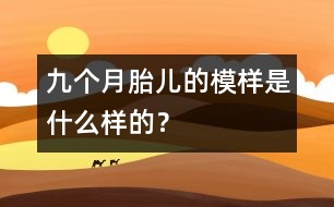 九個月胎兒的模樣是什么樣的？