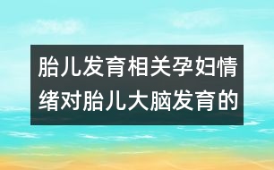 胎兒發(fā)育相關(guān)：孕婦情緒對胎兒大腦發(fā)育的影響