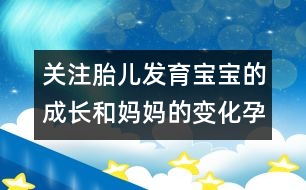 關注胎兒發(fā)育：寶寶的成長和媽媽的變化（孕八個月）