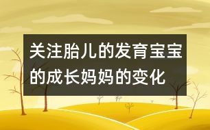 關(guān)注胎兒的發(fā)育：寶寶的成長、媽媽的變化