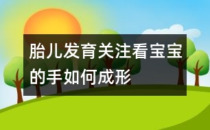 胎兒發(fā)育關注：看寶寶的手如何成形