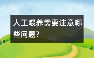 人工喂養(yǎng)需要注意哪些問(wèn)題?