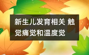 新生兒發(fā)育相關： 觸覺、痛覺和溫度覺