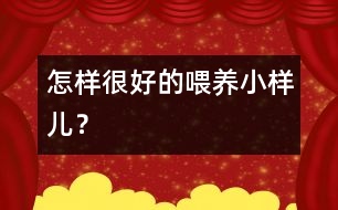 怎樣很好的喂養(yǎng)小樣兒？