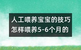 人工喂養(yǎng)寶寶的技巧：怎樣喂養(yǎng)5-6個(gè)月的寶寶