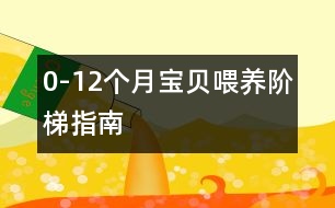 0-12個(gè)月寶貝喂養(yǎng)階梯指南