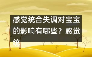 感覺統(tǒng)合失調(diào)對寶寶的影響有哪些？感覺統(tǒng)合很重要嗎 ？