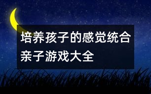 培養(yǎng)孩子的感覺統(tǒng)合親子游戲大全