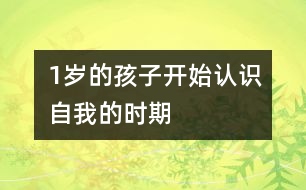 1歲的孩子開始認識自我的時期