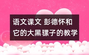 語文課文 彭德懷和它的大黑騾子的教學(xué)設(shè)計 課后習(xí)題答案