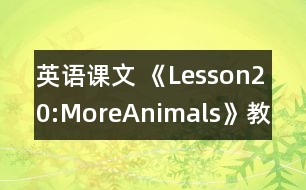 英語課文 《Lesson20:MoreAnimals》教學(xué)設(shè)計