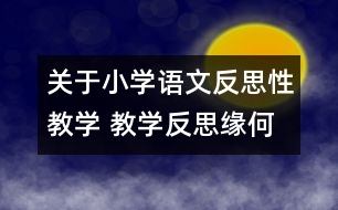 關(guān)于小學(xué)語文反思性教學(xué) 教學(xué)反思緣何起？