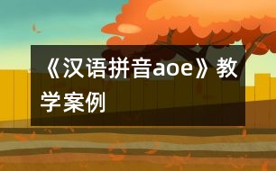 《漢語拼音a、o、e》教學(xué)案例