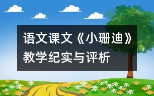 語文課文《小珊迪》教學(xué)紀(jì)實(shí)與評(píng)析