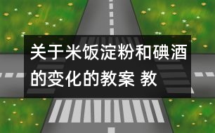 關(guān)于米飯、淀粉和碘酒的變化的教案 教學設計  新教科版六年級下冊科學教案