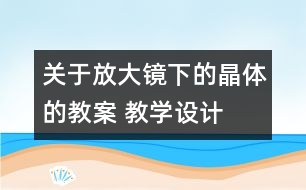 關(guān)于放大鏡下的晶體的教案 教學(xué)設(shè)計(jì)  新教科版六年級下冊科學(xué)教案