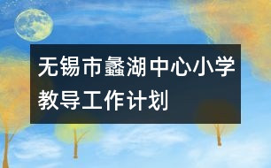 無錫市蠡湖中心小學(xué)教導(dǎo)工作計(jì)劃