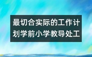 最切合實際的工作計劃：學(xué)前小學(xué)教導(dǎo)處工作計劃