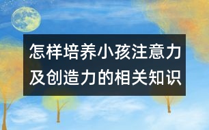 怎樣培養(yǎng)小孩注意力及創(chuàng)造力的相關(guān)知識