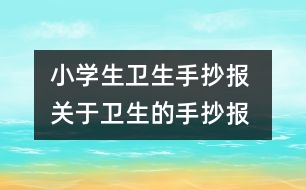 小學生衛(wèi)生手抄報 關于衛(wèi)生的手抄報