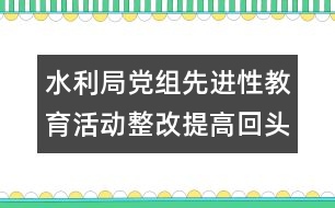 水利局黨組先進(jìn)性教育活動整改提高回頭看自查報(bào)告