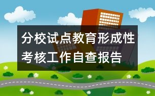 分校試點教育形成性考核工作自查報告