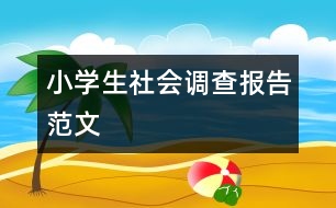 小學生社會調查報告范文