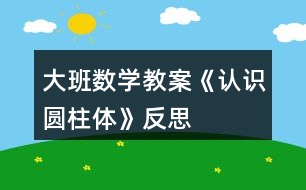 大班數(shù)學(xué)教案《認(rèn)識(shí)圓柱體》反思