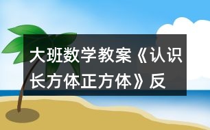 大班數(shù)學教案《認識長方體、正方體》反思