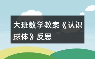 大班數(shù)學(xué)教案《認識球體》反思