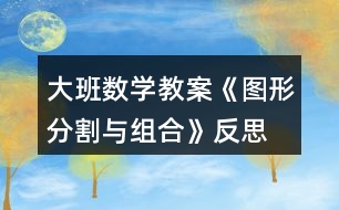 大班數(shù)學(xué)教案《圖形分割與組合》反思