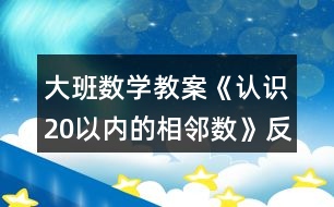 大班數(shù)學(xué)教案《認(rèn)識(shí)20以內(nèi)的相鄰數(shù)》反思