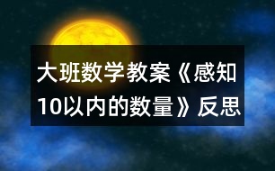 大班數(shù)學(xué)教案《感知10以?xún)?nèi)的數(shù)量》反思