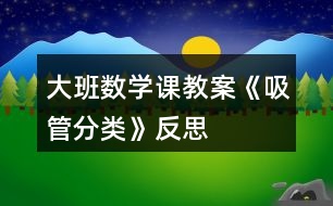 大班數(shù)學課教案《吸管分類》反思