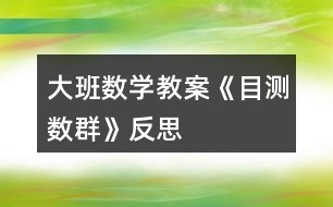 大班數(shù)學教案《目測數(shù)群》反思