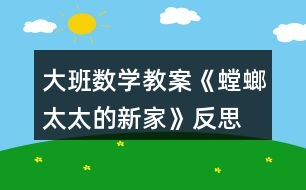 大班數學教案《螳螂太太的新家》反思