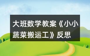 大班數學教案《小小蔬菜搬運工》反思