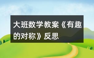 大班數(shù)學(xué)教案《有趣的對稱》反思