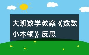 大班數(shù)學(xué)教案《數(shù)數(shù)小本領(lǐng)》反思