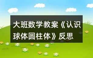 大班數(shù)學教案《認識球體、圓柱體》反思