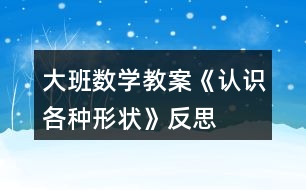 大班數(shù)學(xué)教案《認(rèn)識各種形狀》反思