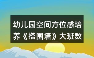 幼兒園空間方位感培養(yǎng)《搭圍墻》大班數(shù)學教案