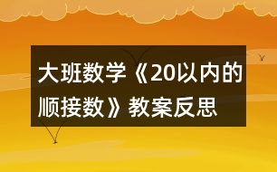 大班數(shù)學《20以內(nèi)的順接數(shù)》教案反思