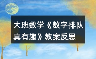 大班數(shù)學(xué)《數(shù)字排隊(duì)真有趣》教案反思