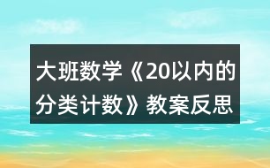 大班數(shù)學(xué)《20以內(nèi)的分類計數(shù)》教案反思